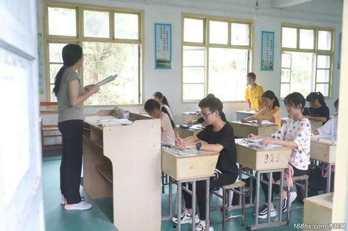 琴山老师最新爆料,最新爆料背后的故事与真相